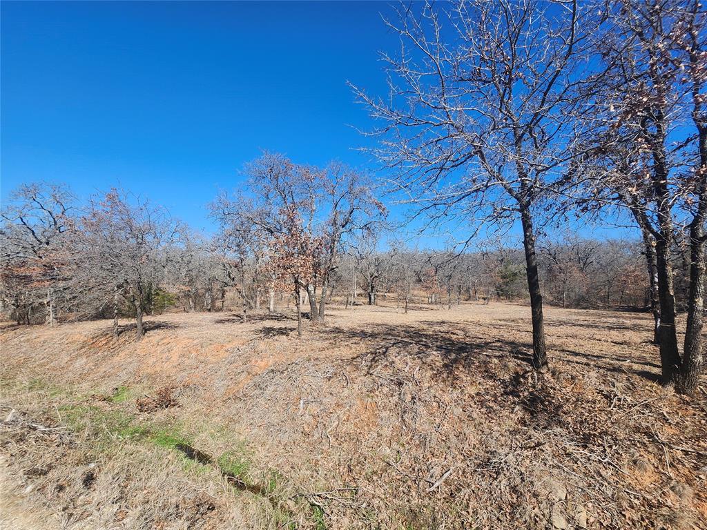 259 Comanche Trail Property Photo