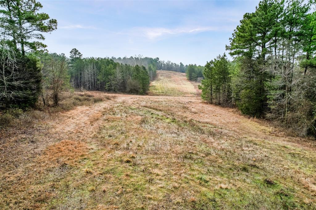 1260 County Road 4120 Property Photo