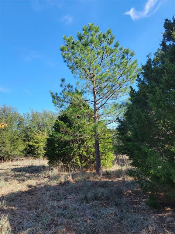 795 Phillips Drive Property Photo