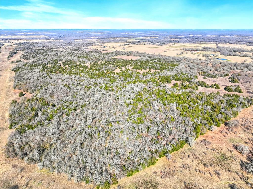 Tract 2 Fm-1366 Property Photo