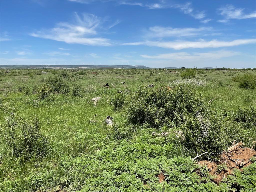 Tbd County Road 343 Property Photo 4