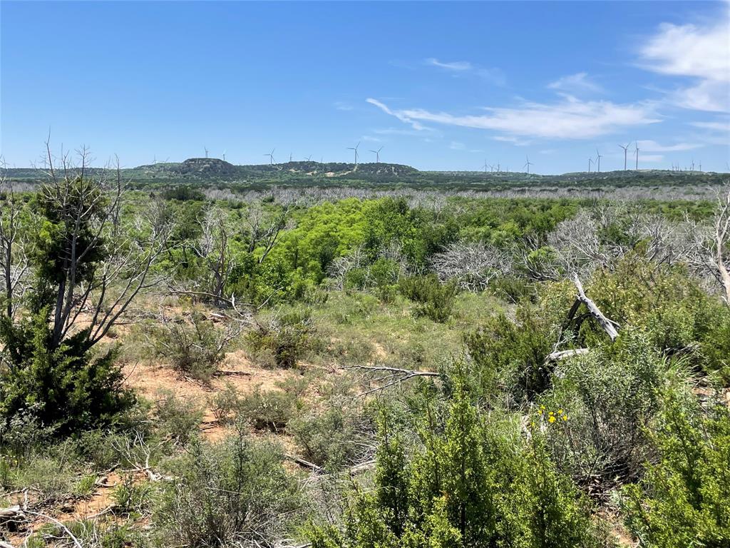 Tbd County Road 343 Property Photo 7
