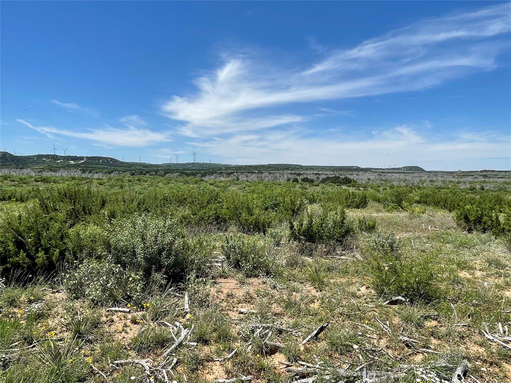 Tbd County Road 343 Property Photo 8