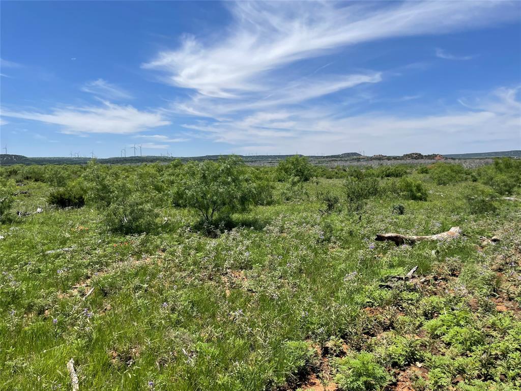 Tbd County Road 343 Property Photo 9