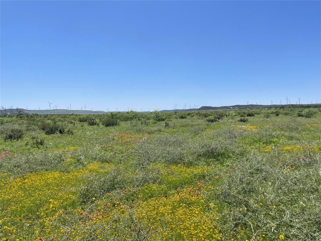 Tbd County Road 343 Property Photo 12