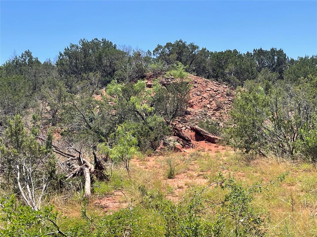 Tbd County Road 343 Property Photo 13