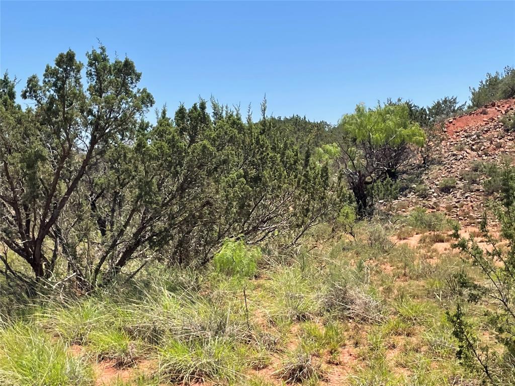 Tbd County Road 343 Property Photo 14