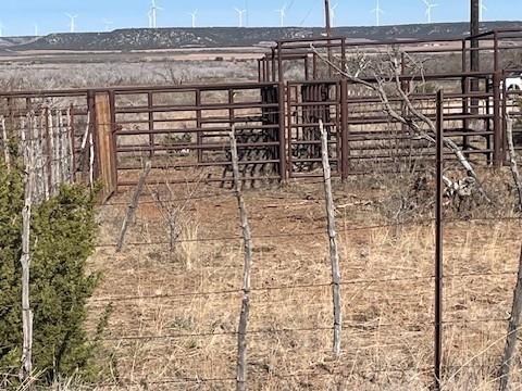 Tbd County Road 343 Property Photo 16