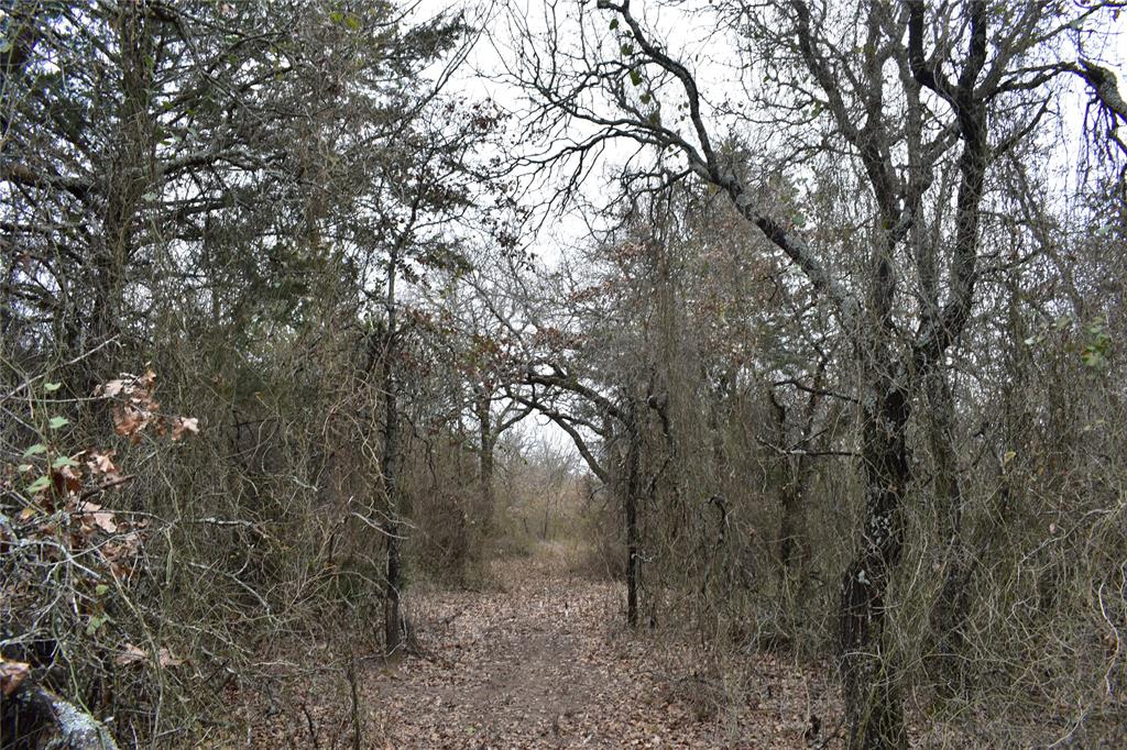 393 409 Private Road Property Photo 9
