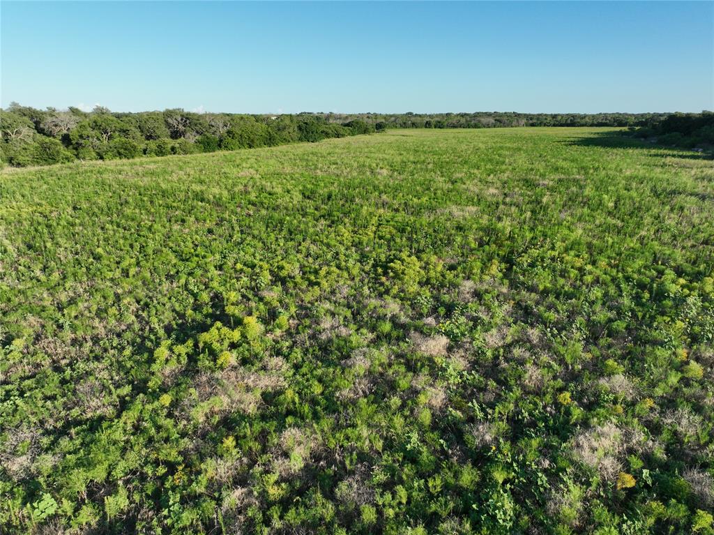 Tbd Cr 137 Property Photo 5