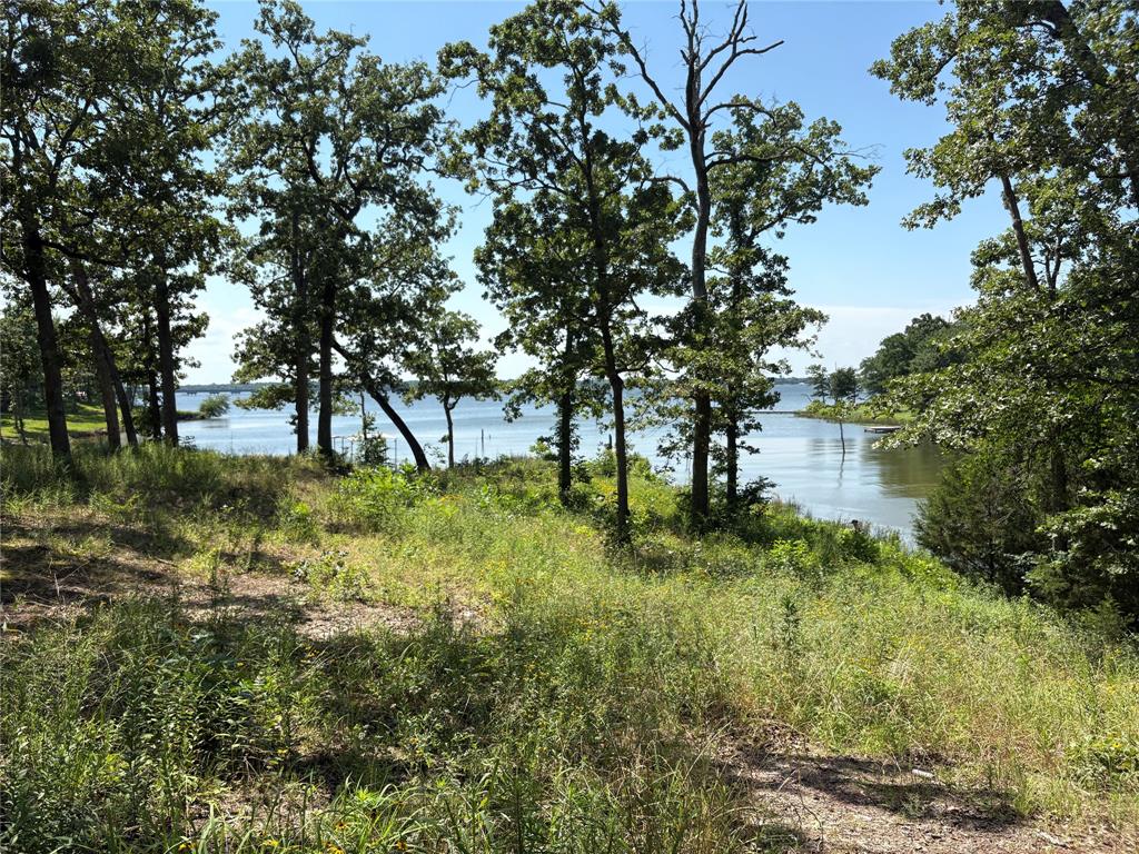 Tbd Indian Gap Road Property Photo 6