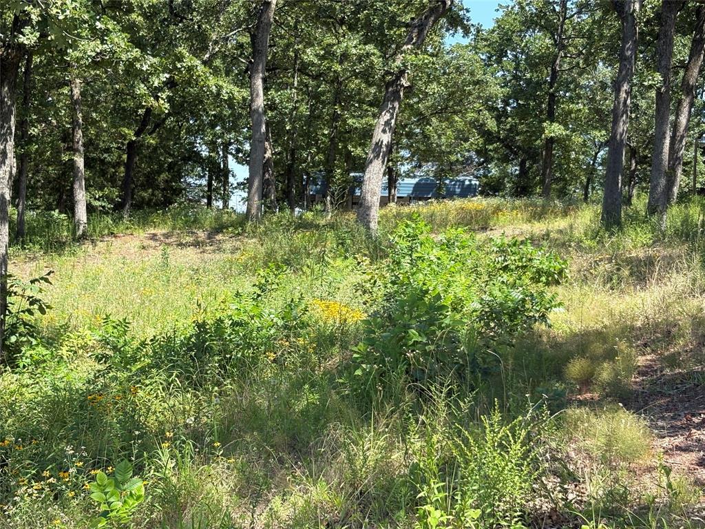 Tbd Indian Gap Road Property Photo 7