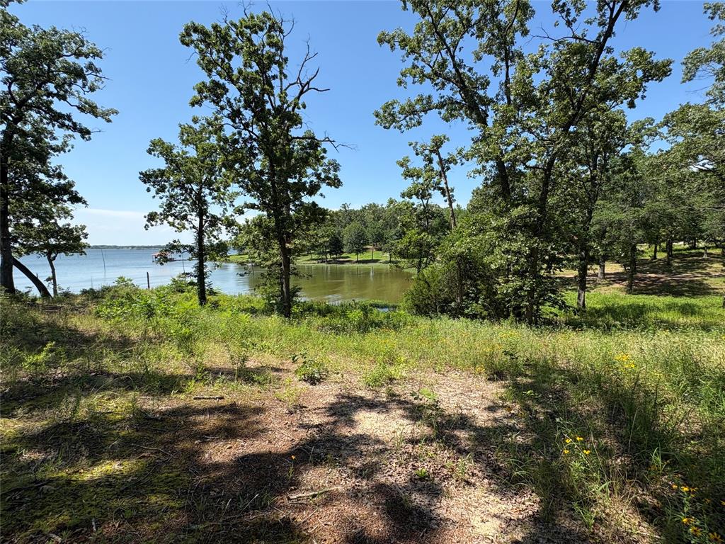 Tbd Indian Gap Road Property Photo 8
