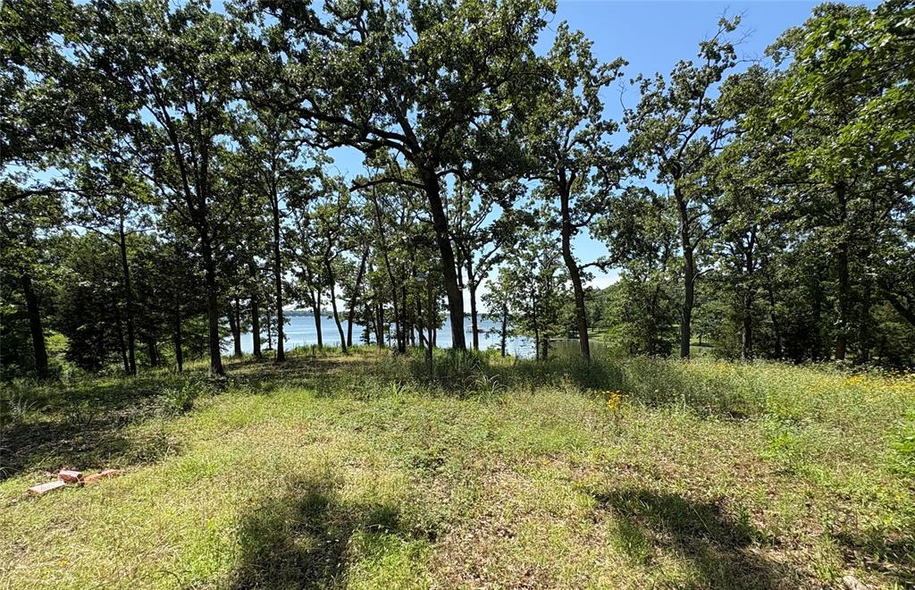 Tbd Indian Gap Road Property Photo 10