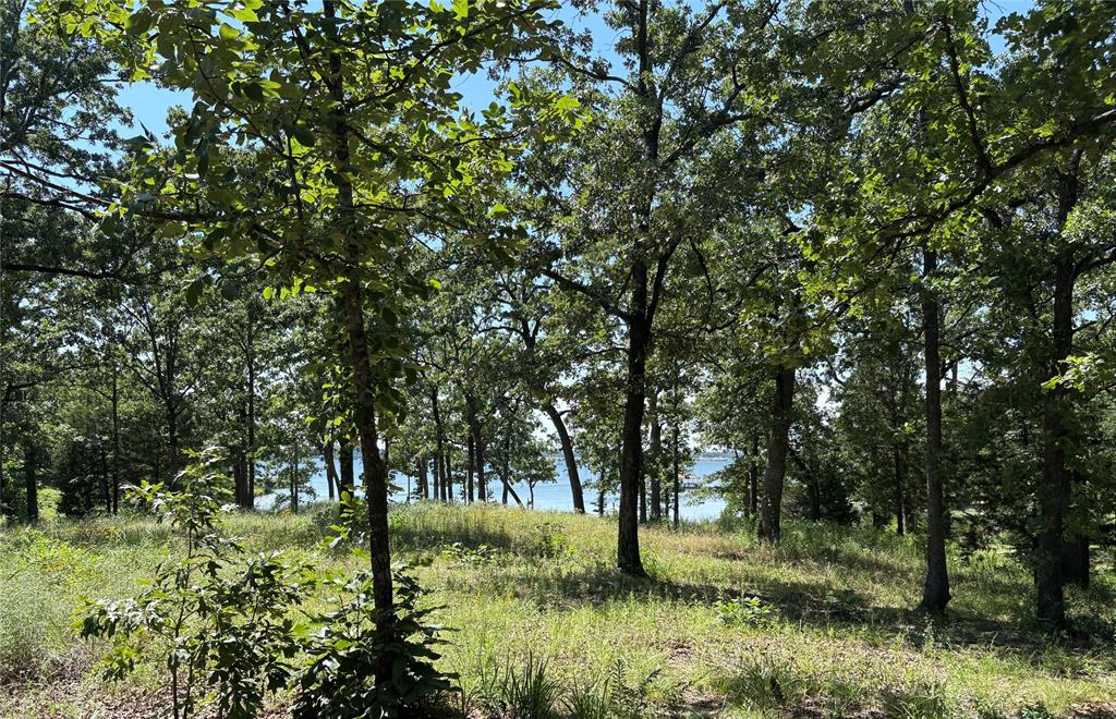 Tbd Indian Gap Road Property Photo 11