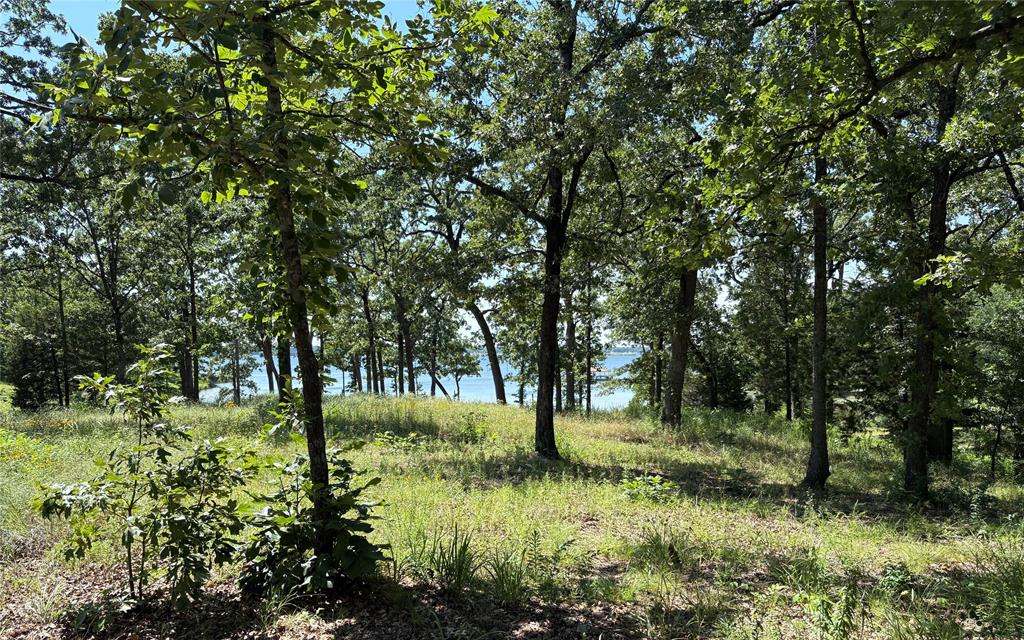 Tbd Indian Gap Road Property Photo 12