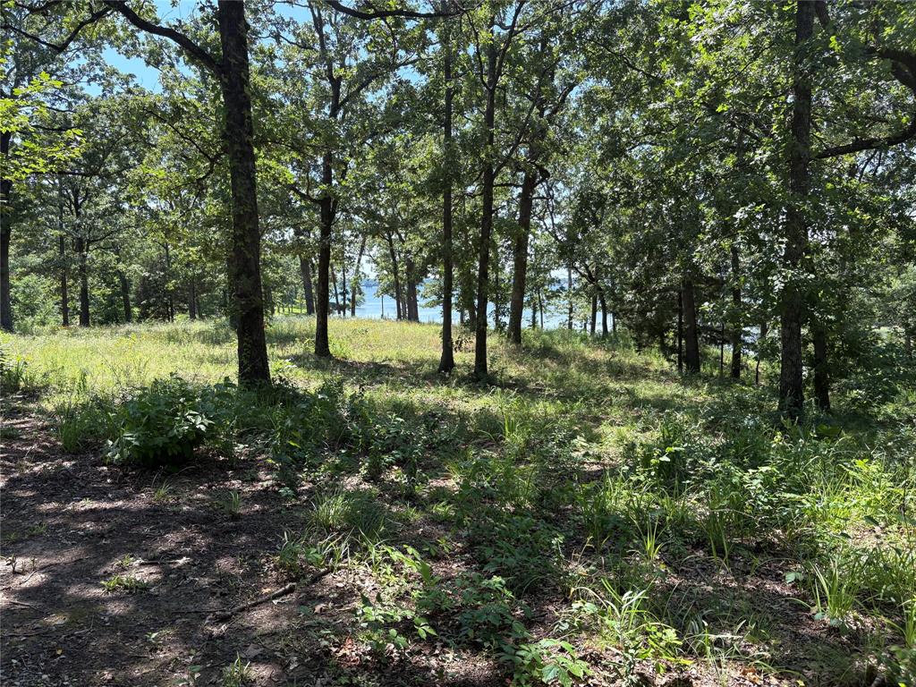Tbd Indian Gap Road Property Photo 13