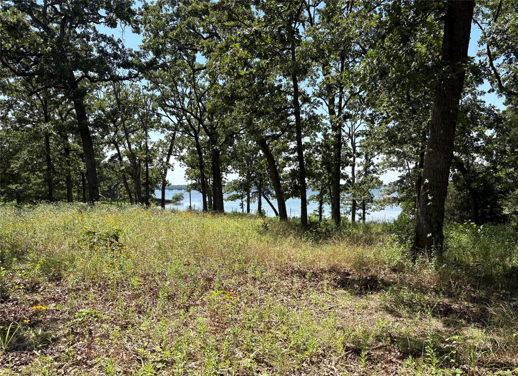 Tbd Indian Gap Road Property Photo 15