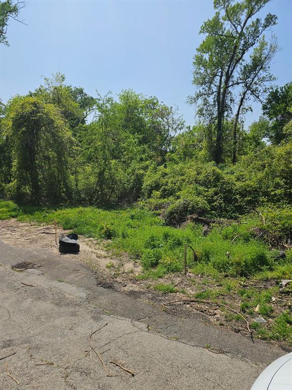 233 Mike Avenue Property Photo 1