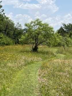4708 Pioneer Road Property Photo 6