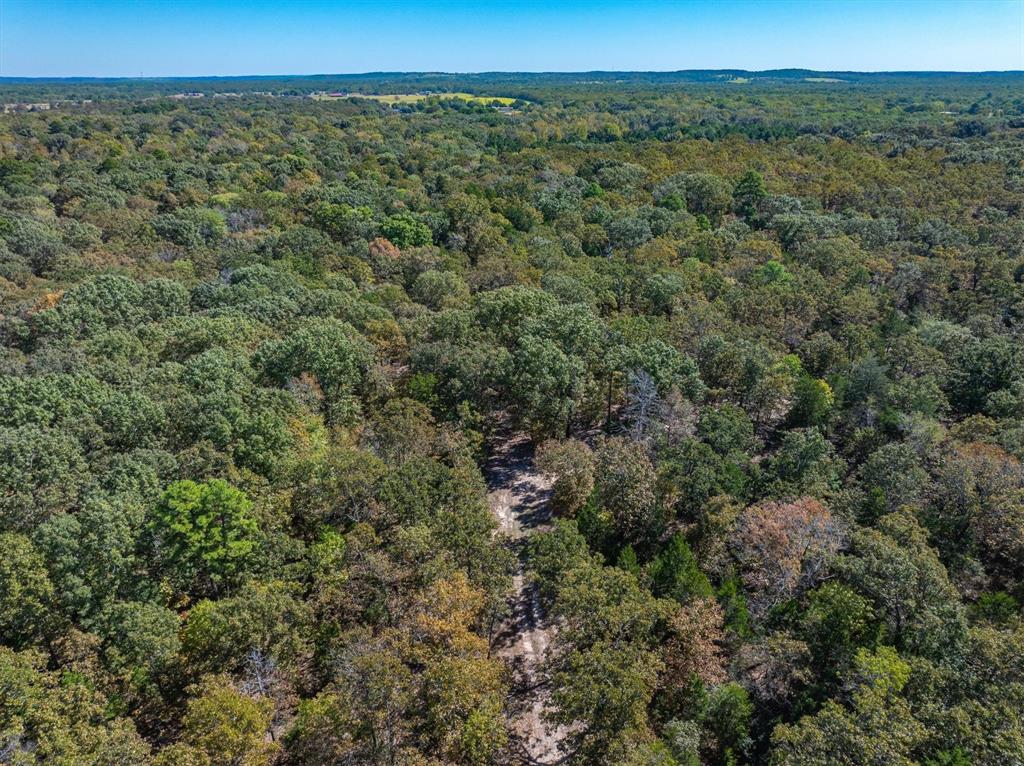 Tract 3 Pvt Rd 8079 Road Property Photo