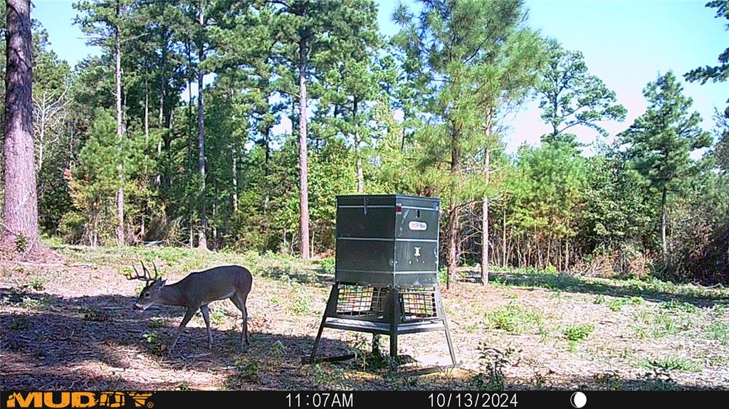 Tbd Pvt. Rd 8079 Road Property Photo