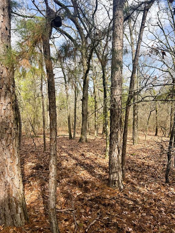 000 Private Road 8000 Property Photo