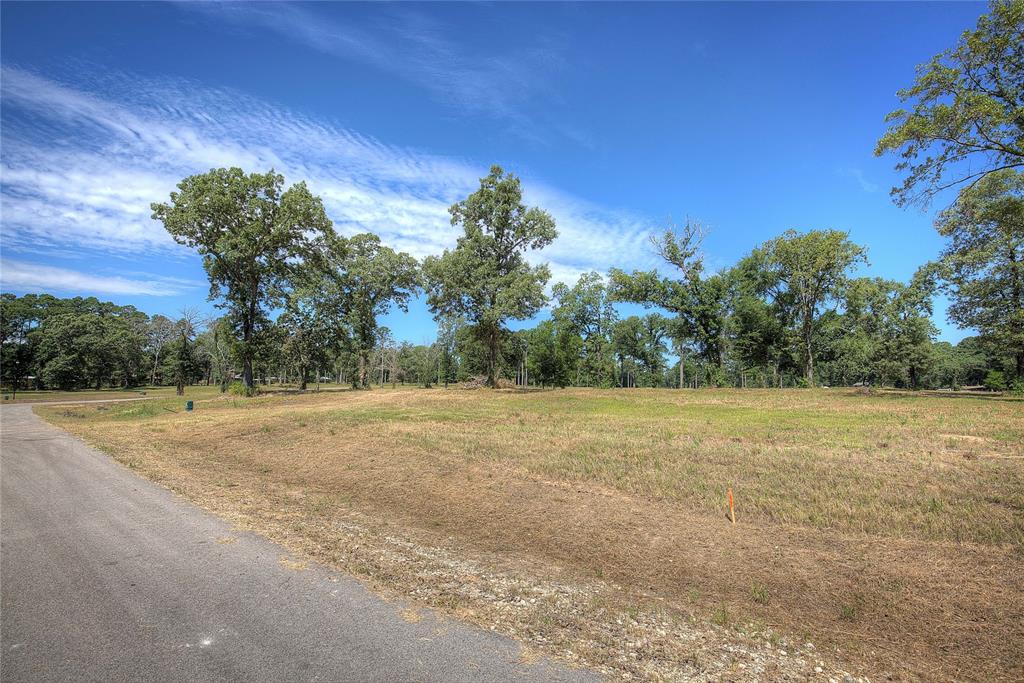 20527 Wyndham Property Photo 6