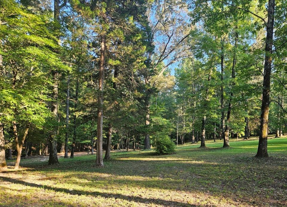 7105 Rodessa Ida Road Property Photo 38