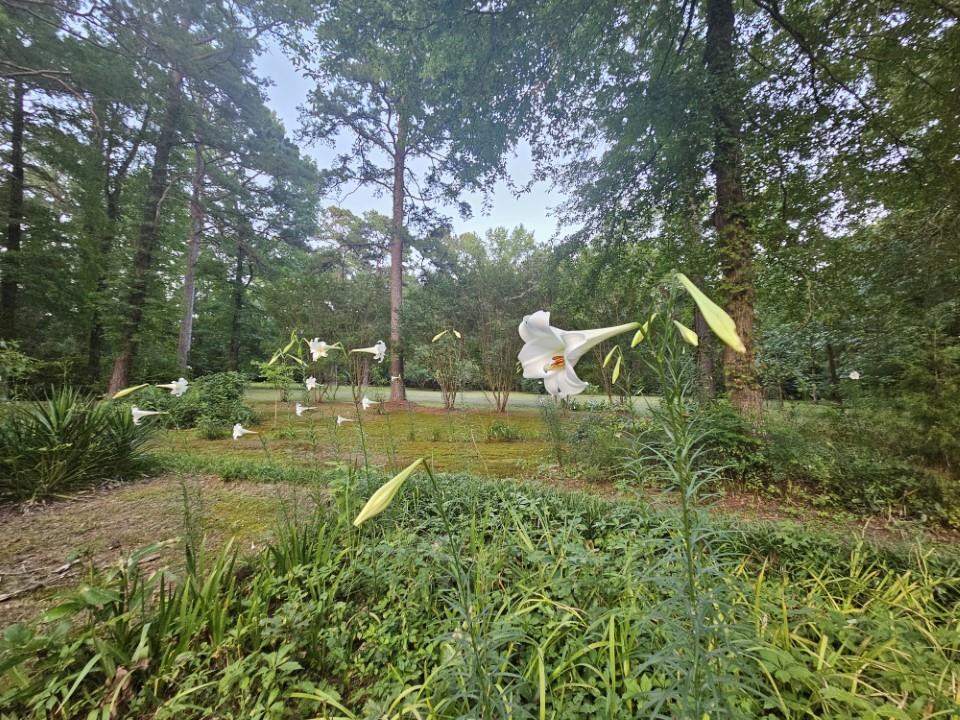 7105 Rodessa Ida Road Property Photo 40