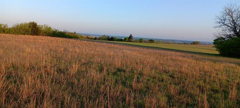 Tbd Cr 352 Property Photo 9
