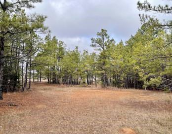 1260 County Road 4120 Road Property Photo