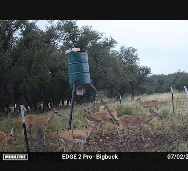 129 Big Buck Run Road