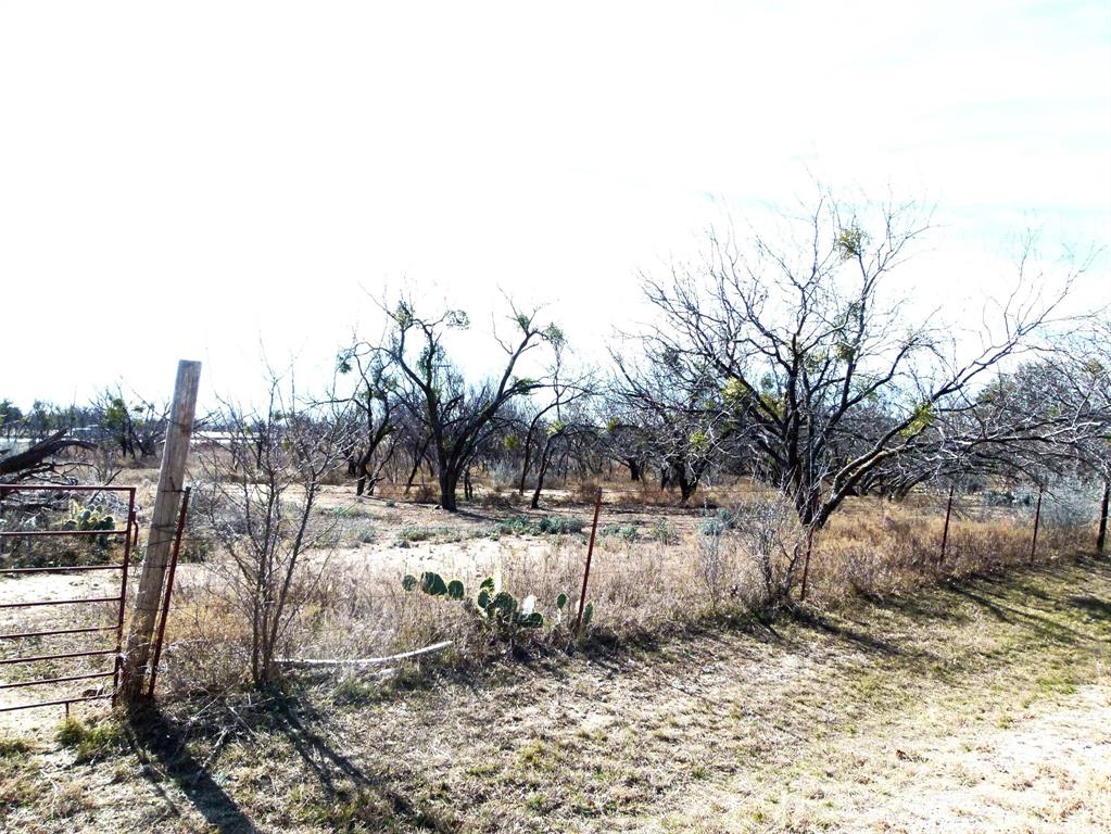 Tbd Hwy 377 Property Photo 9