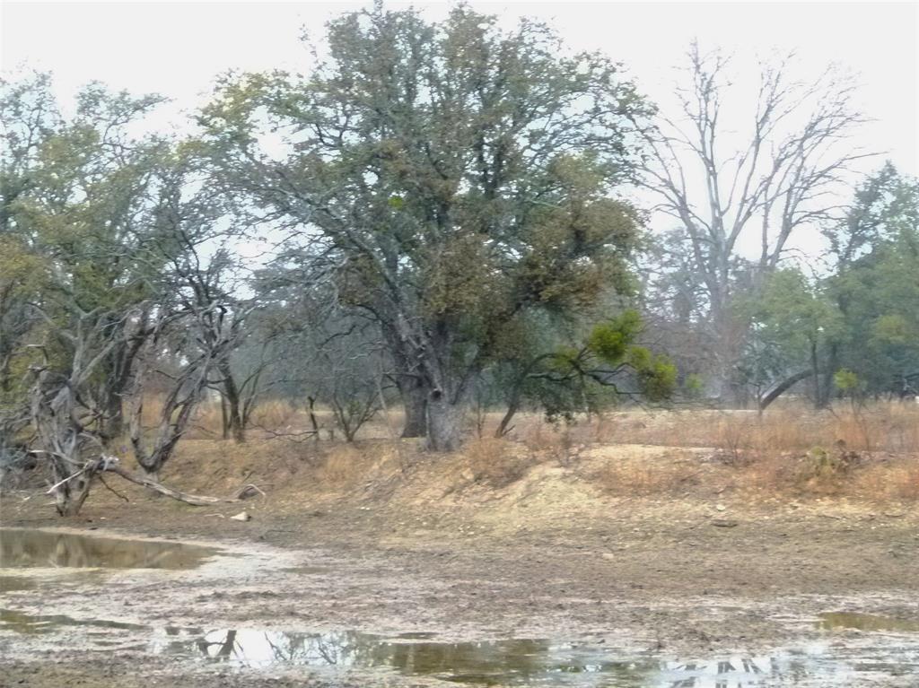 Tbd Hwy 377 Property Photo 13