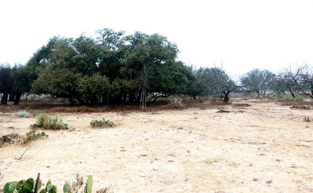 Tbd Hwy 377 Property Photo 14