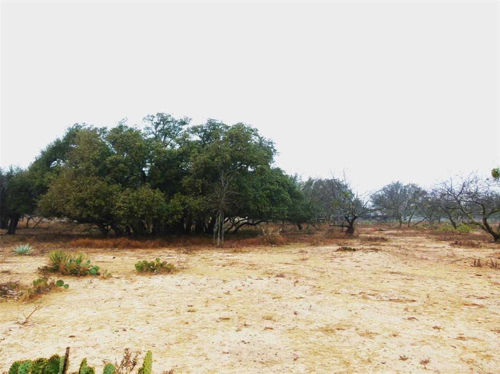 Tbd Hwy 377 Property Photo 15