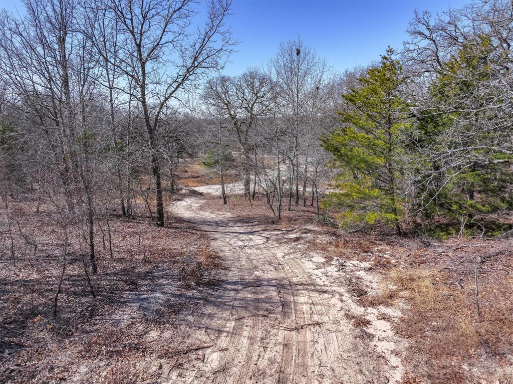 17657 Fm 773 Property Photo 8