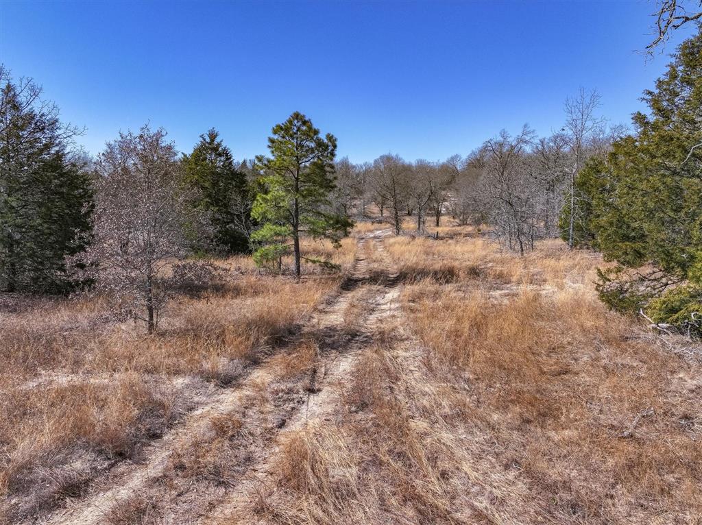 17657 Fm 773 Property Photo 10