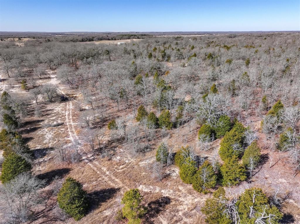 17657 Fm 773 Property Photo 12