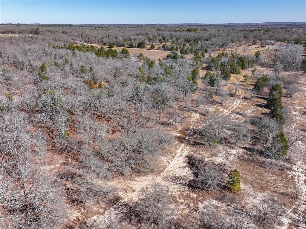 17657 Fm 773 Property Photo 13