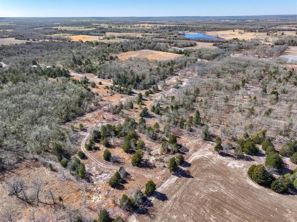 17657 Fm 773 Property Photo 18