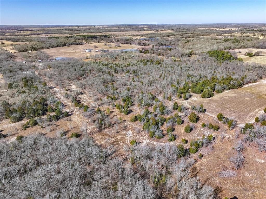 17657 Fm 773 Property Photo 19