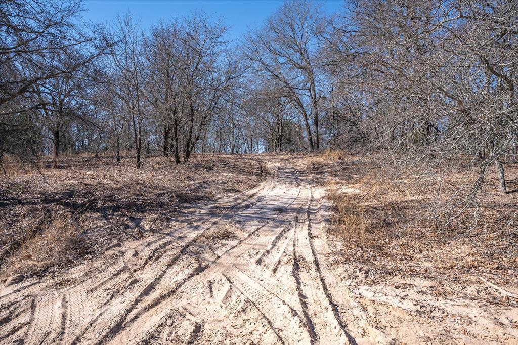 17657 Fm 773 Property Photo 20