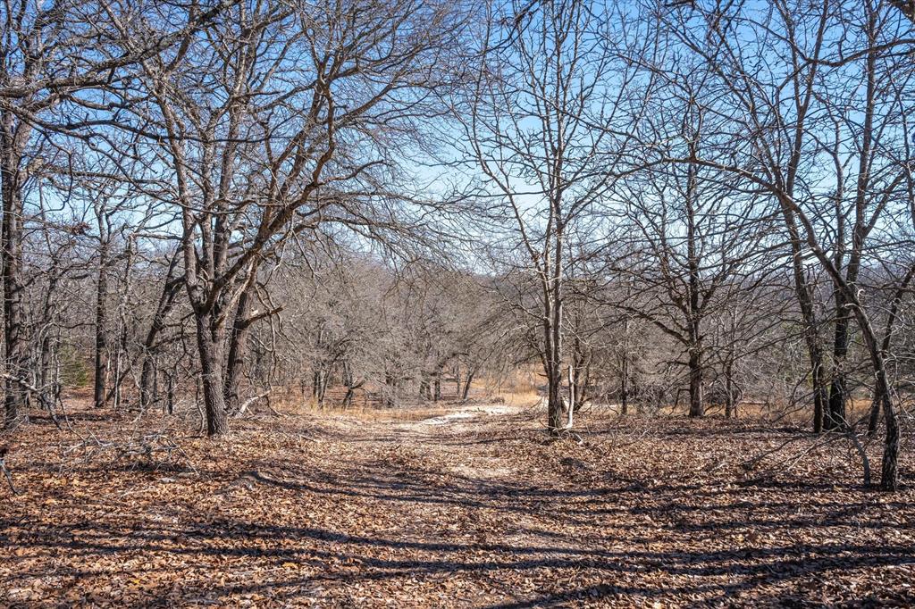 17657 Fm 773 Property Photo 21