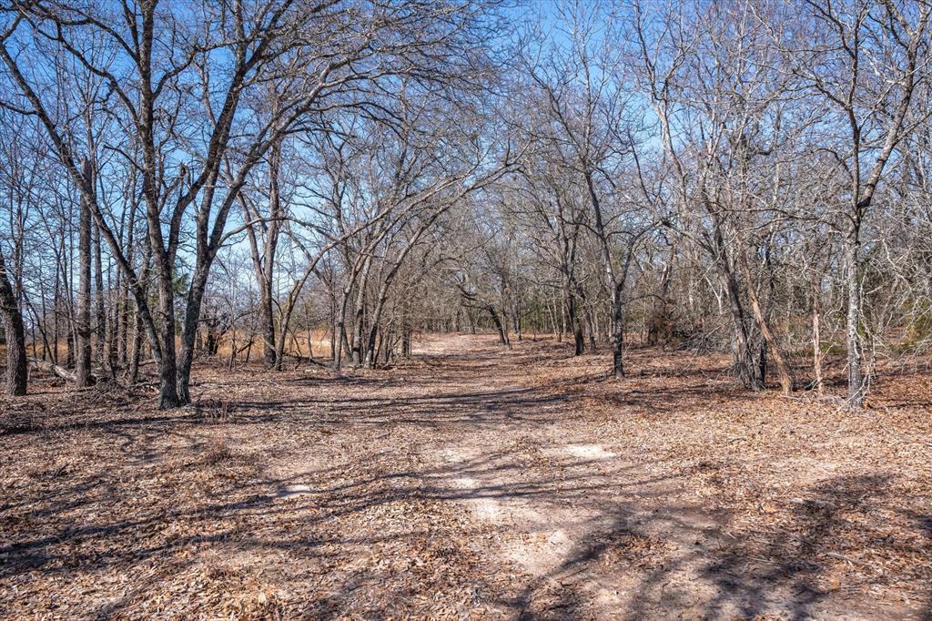 17657 Fm 773 Property Photo 22