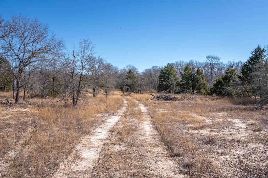17657 Fm 773 Property Photo 23