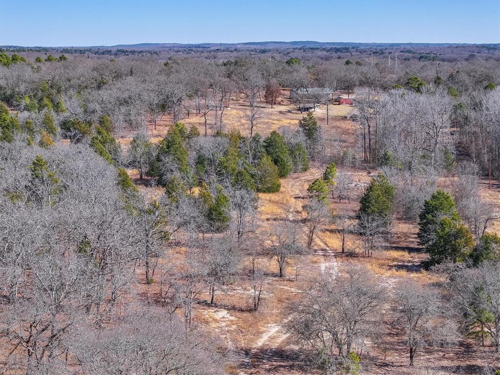 17657 Fm 773 Property Photo 8