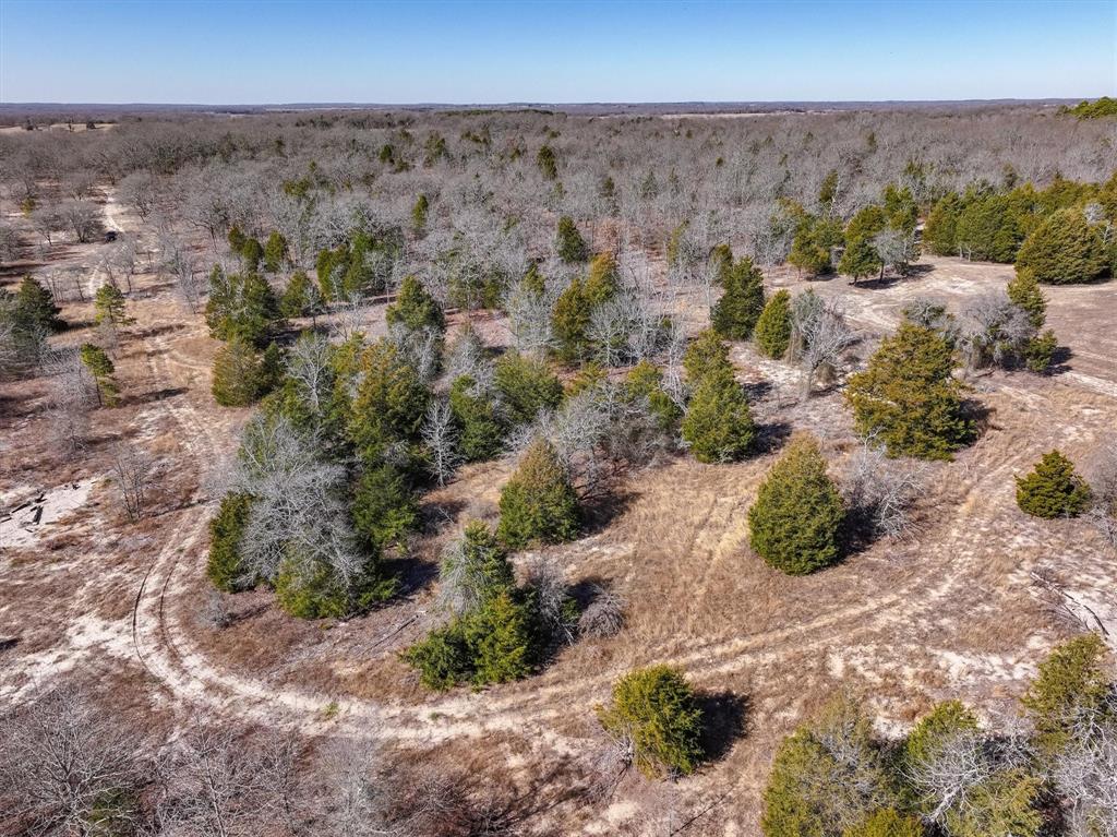 17657 Fm 773 Property Photo 15