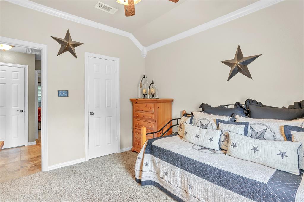 10121 Irish Ridge Street Property Photo 15